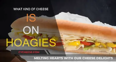 Hoagies and Cheeses: Exploring the Perfect Pair