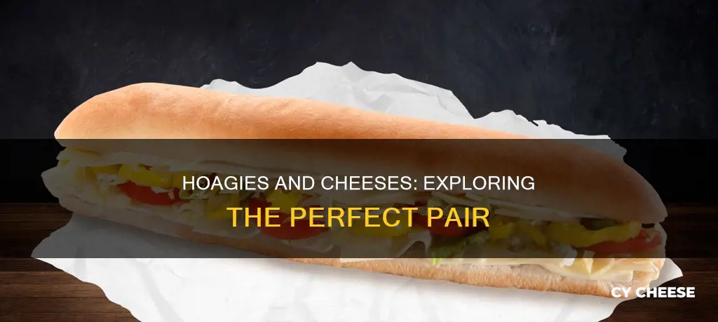 what kind of cheese is on hoagies