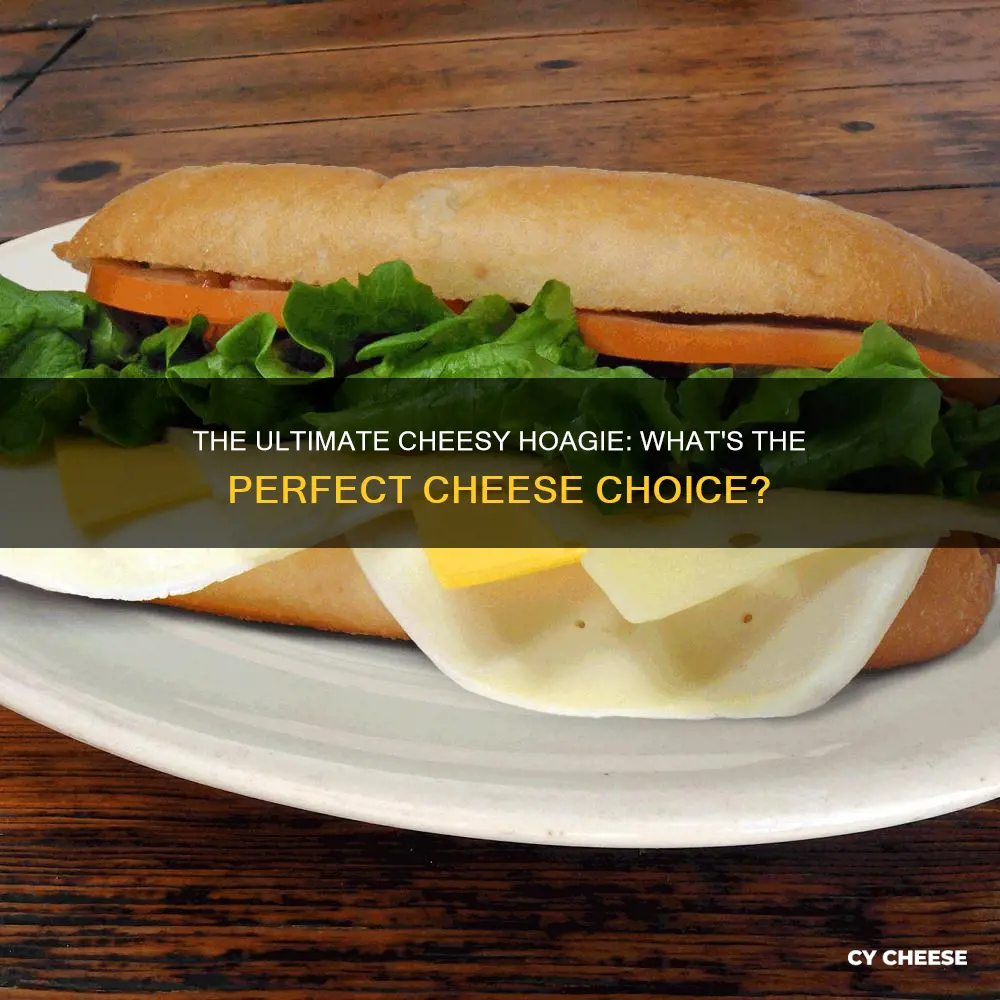 what kind of cheese is on hoagies