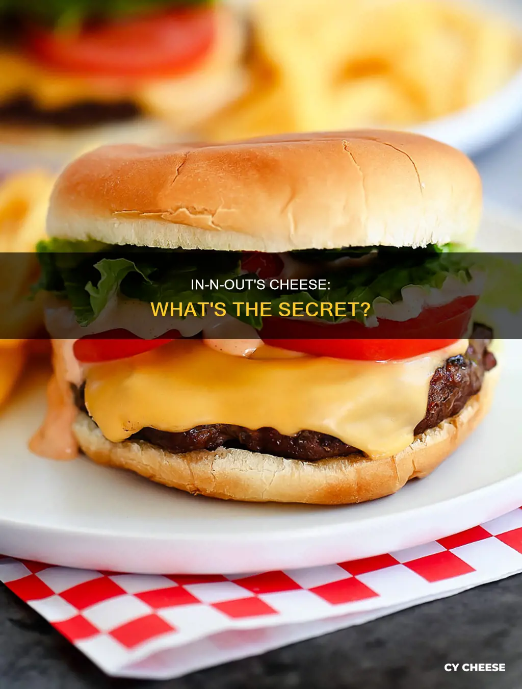 what kind of cheese is on in n out