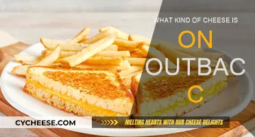 Outback C's Cheese: What's the Secret Ingredient?