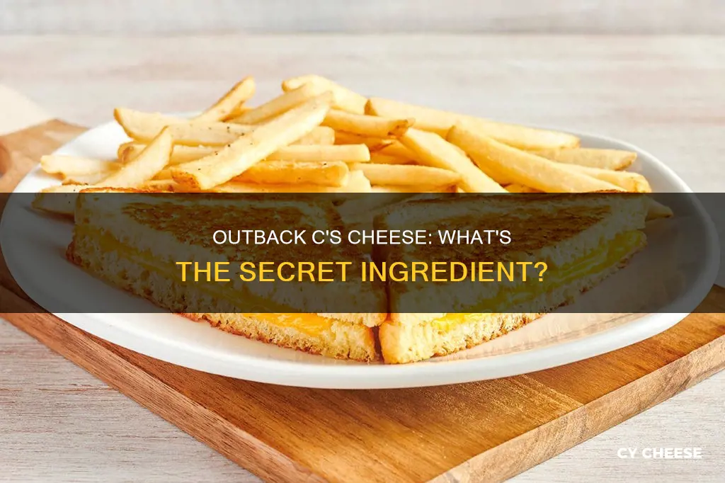 what kind of cheese is on outback c