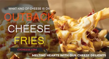 Cheese Fries: Outback's Signature Cheese Choice Explained