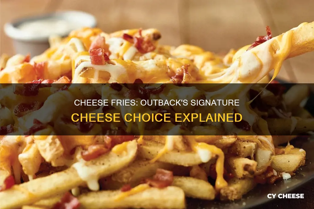 what kind of cheese is on outback cheese fries