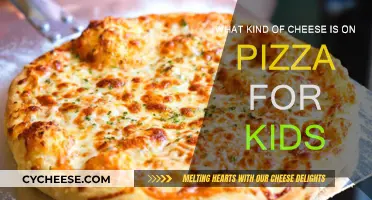 Cheese on Kid's Pizza: Mozzarella Magic and More!