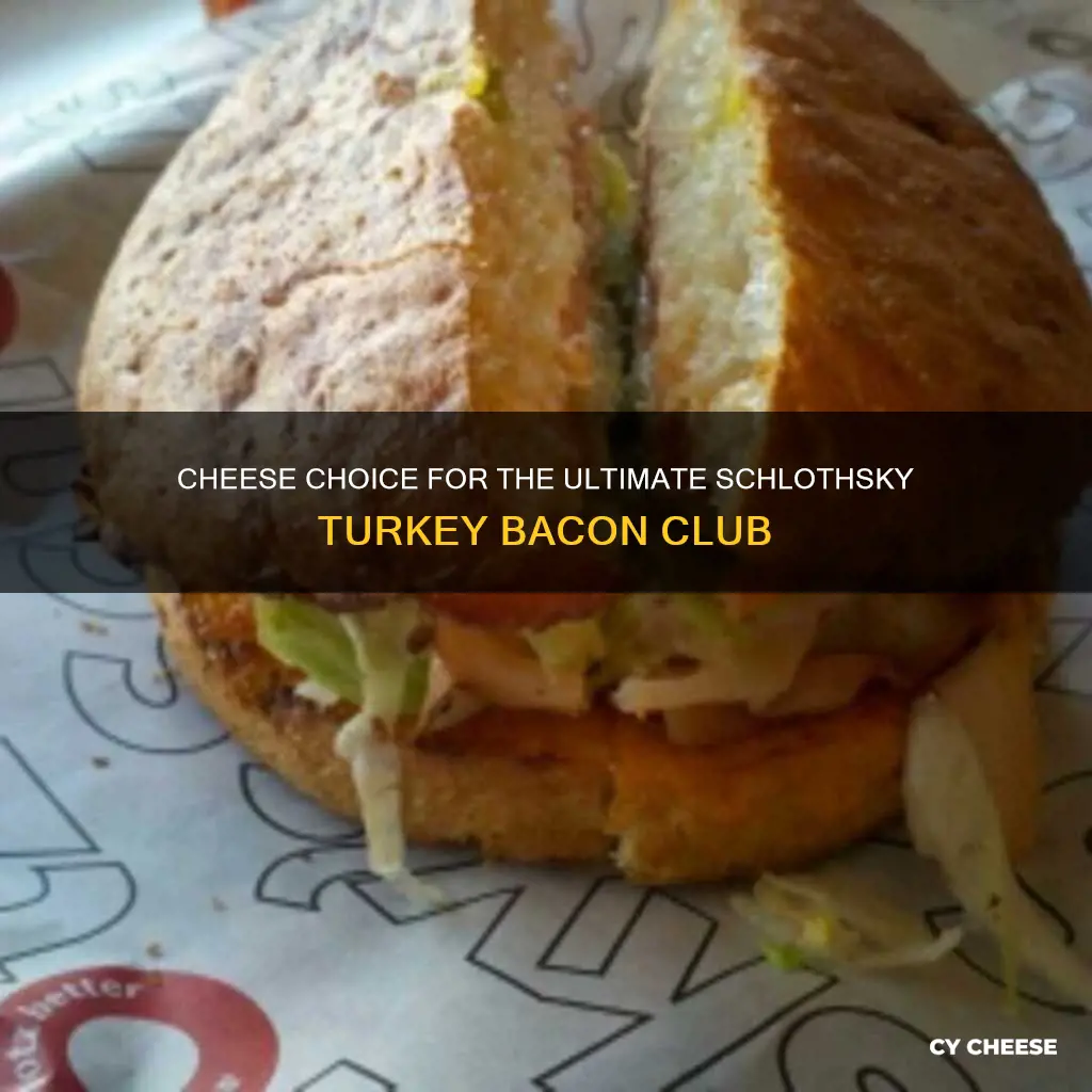 what kind of cheese is on schlothsky turkey bacon club