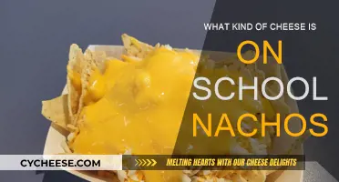 Cheese Mystery: School Nachos' Secret Ingredient