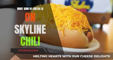 Skyline Chili: What's the Cheesy Secret?