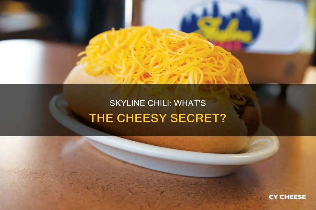 what kind of cheese is on skyline chili