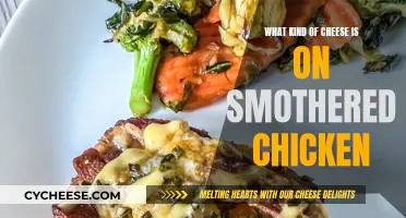 Chicken Smothered in Cheese: What's the Best Type?