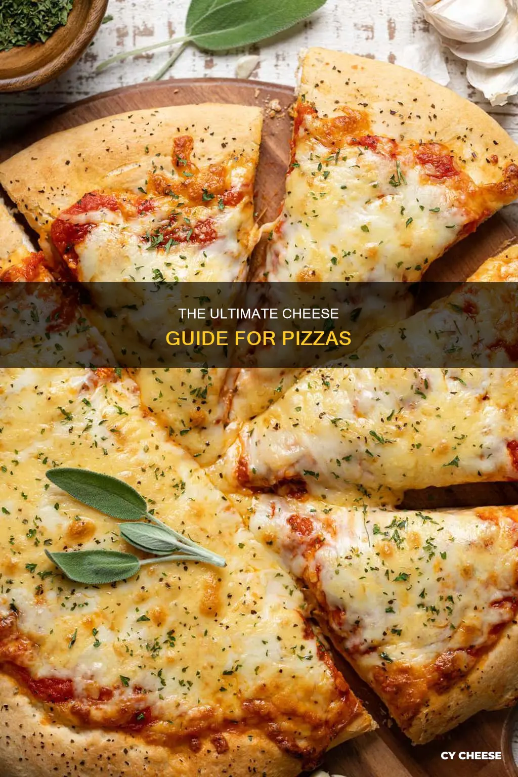 what kind of cheese is on top of pizza