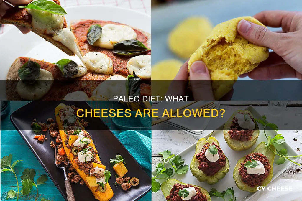 what kind of cheese is paleo