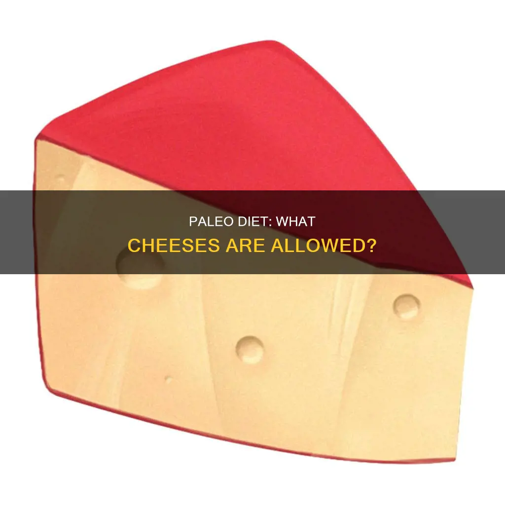what kind of cheese is paleo