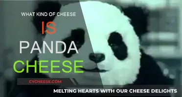 Panda Cheese: A Unique Kind of Processed Cheese