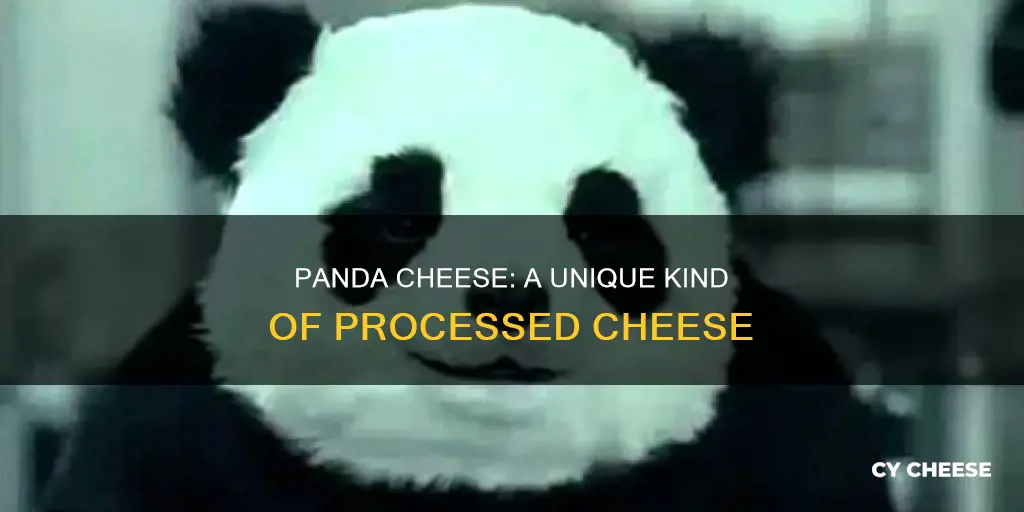 what kind of cheese is panda cheese