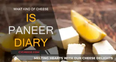 Cheese Exploration: Is Paneer a Dairy Delicacy?