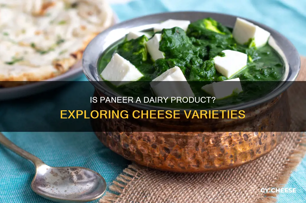 what kind of cheese is paneer diary