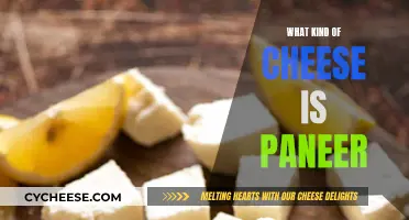 Is Paneer Really Cheese? Understanding This Indian Dish