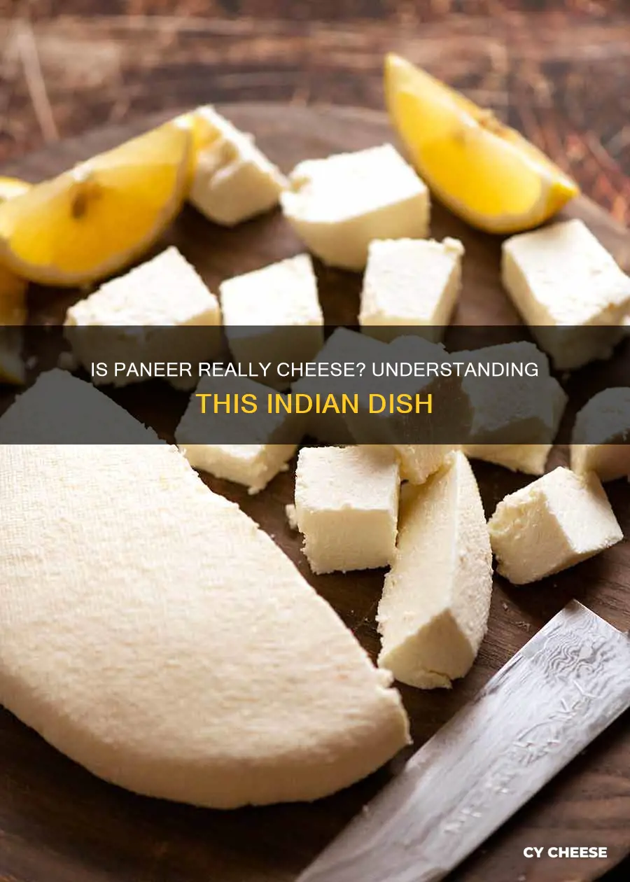 what kind of cheese is paneer