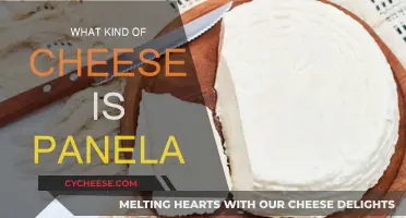 Panela Cheese: A Fresh, Mild Mexican Cheese Explained