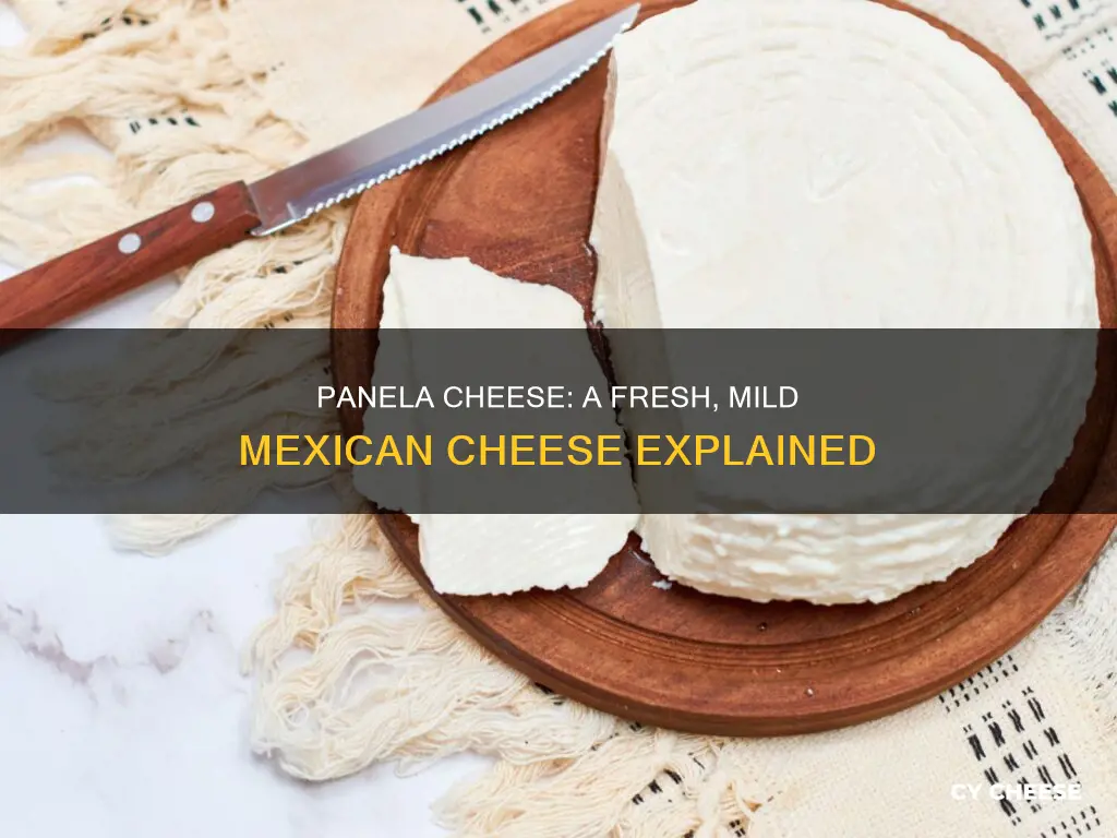 what kind of cheese is panela