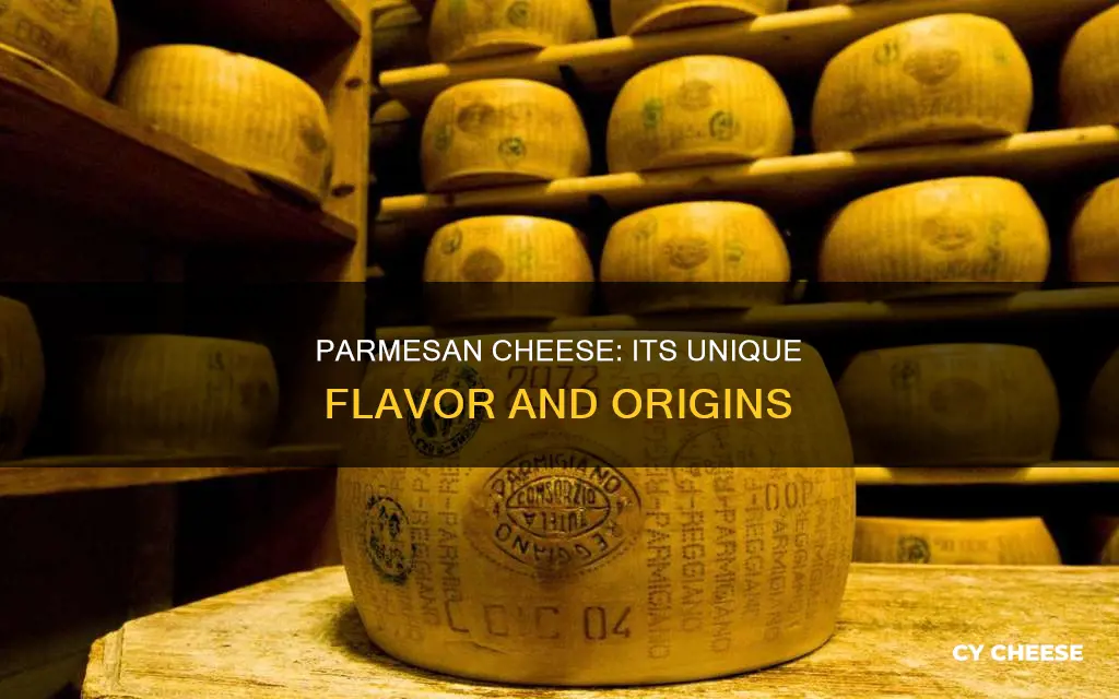 what kind of cheese is parmesan