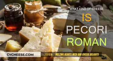 Pecorino Romano: A Sharp, Salty Sheep Cheese from Italy