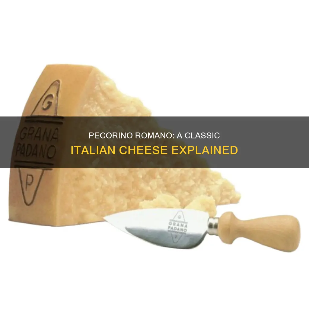 what kind of cheese is pecorino romano