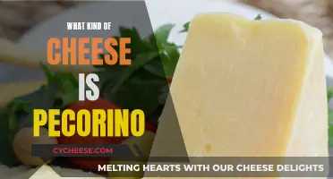 Pecorino Cheese: A Sheep's Milk Wonder