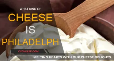 The Mystery Unveiled: What is Philadelphia Cheese?