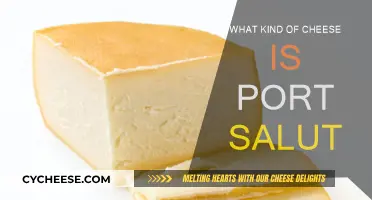 Port Salut Cheese: A Semi-Soft Delight