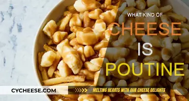 The Cheesy Truth: What Makes Poutine So Good?