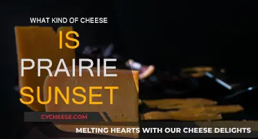 Prairie Sunset Cheese: A Unique, Savory Sunset Delight