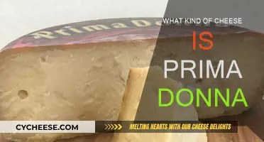 Prima Donna Cheese: A Royal Treat for Your Palate