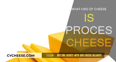 The Mystery Behind Processed Cheese: What's in the Mix?