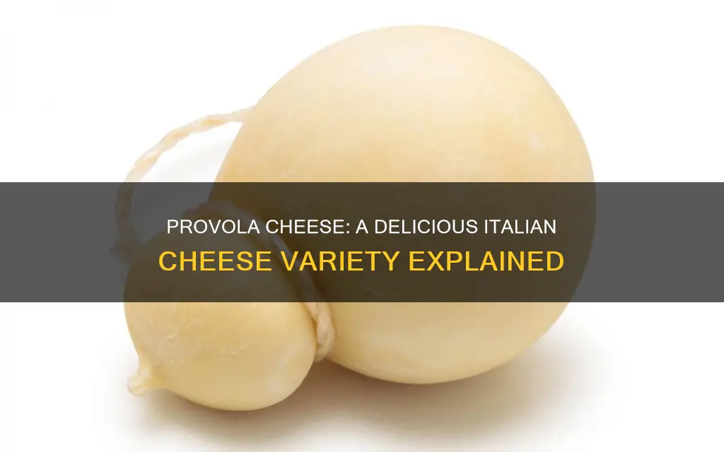what kind of cheese is provola