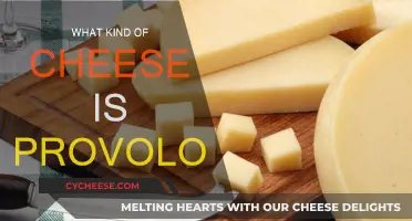 The Ultimate Guide to Provolone Cheese: Types and Uses