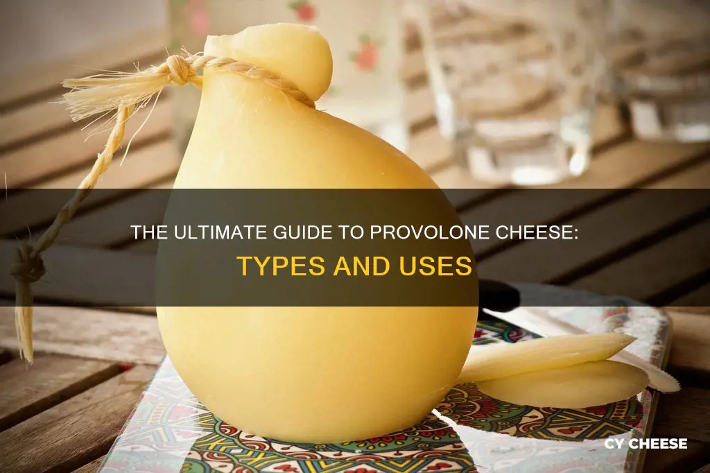 what kind of cheese is provolone