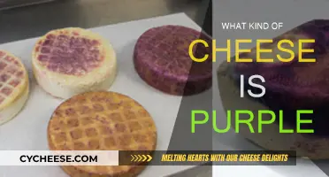 Unveiling the Mystery: Purple Cheese and Its Secrets