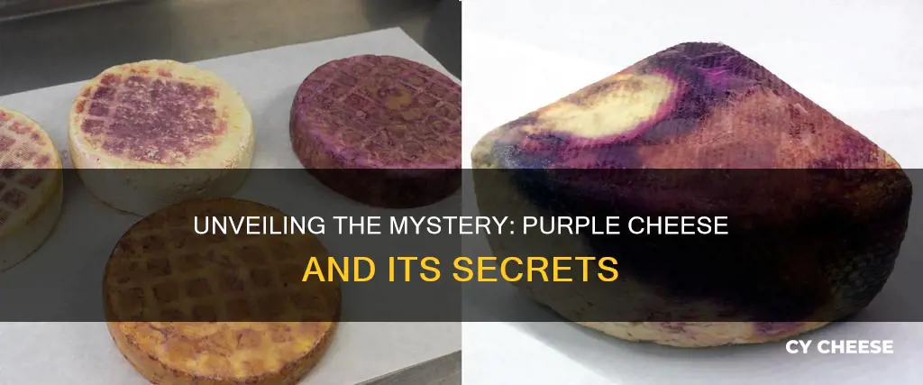 what kind of cheese is purple