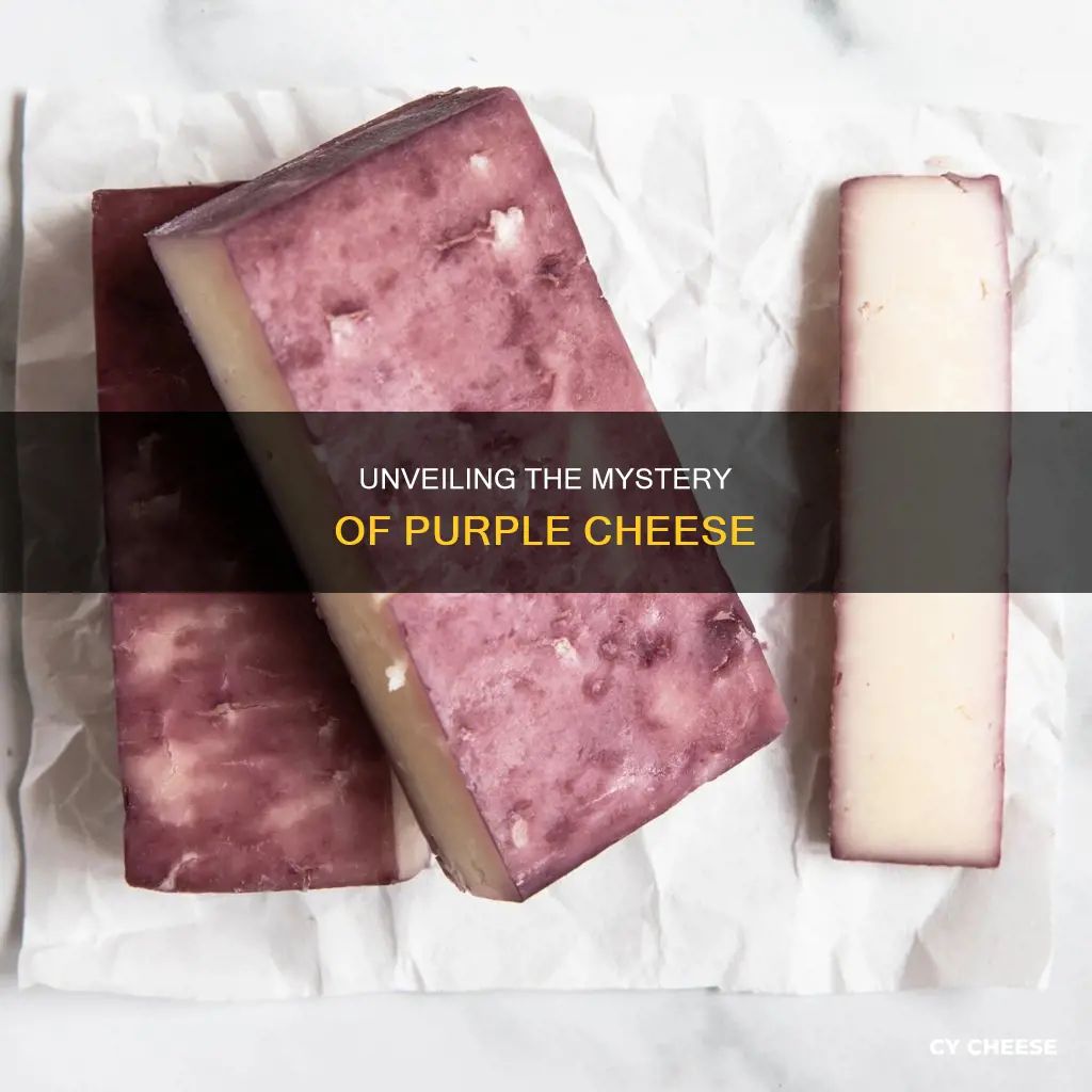what kind of cheese is purple