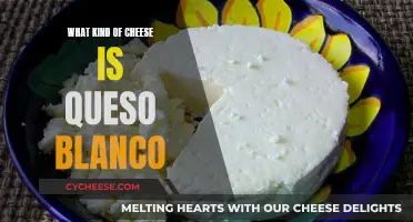 Exploring Queso Blanco: Understanding This Unique Cheese Variety