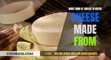 Queso Cheese: What's the Mystery Cheese?
