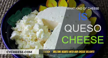 Queso Cheese: What's the Deal?