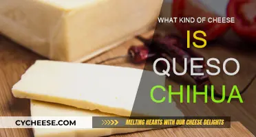 The Versatile Queso Chihuahua: A Mexican Cheese Delight