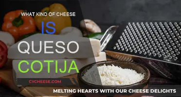 Queso Cotija: A Traditional Mexican Grating Cheese