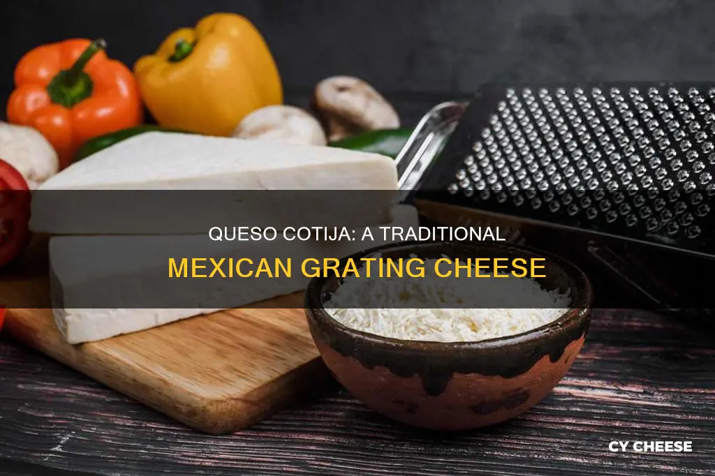 what kind of cheese is queso cotija