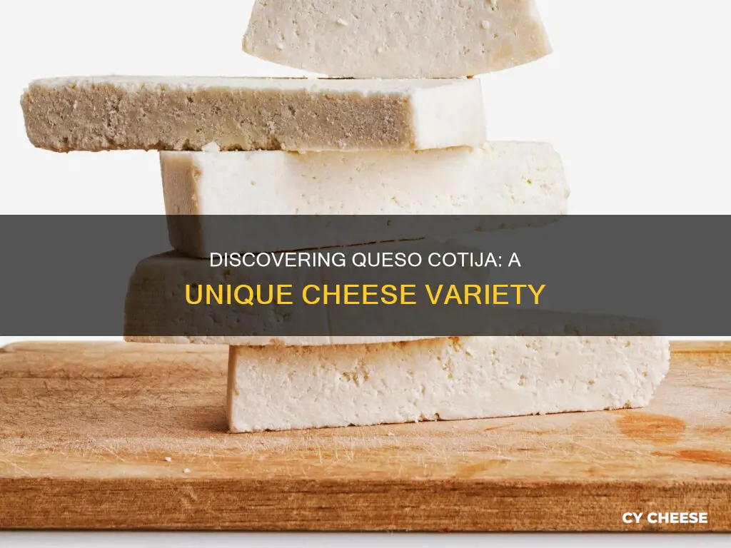 what kind of cheese is queso cotija