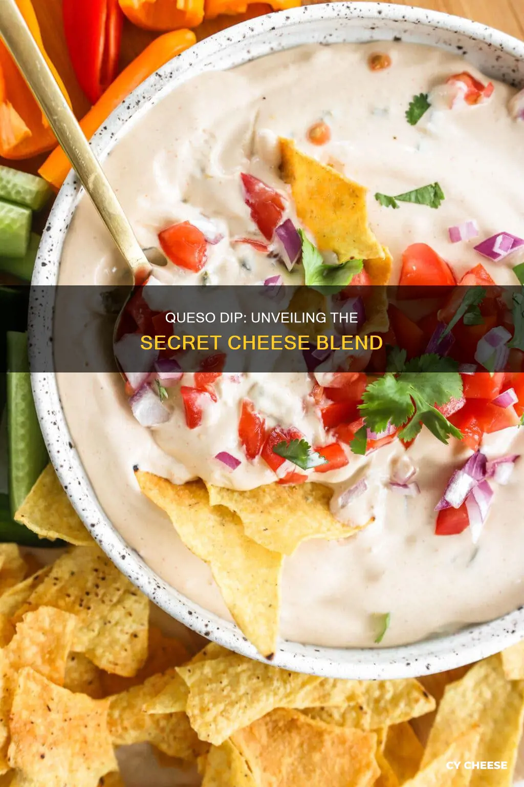 what kind of cheese is queso dip made from