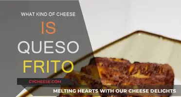 Queso Frito: What Kind of Cheese is This?